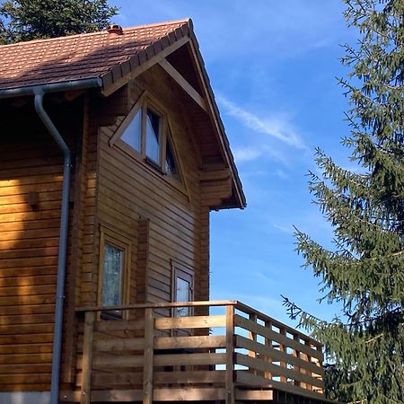 Chalet Authentique Au Calme, En Lisiere De Foret, Montagne, Sentiers 15Mn Gerardmer & Alsace "Chalet Mon Beau Sapin" Anould Exteriör bild