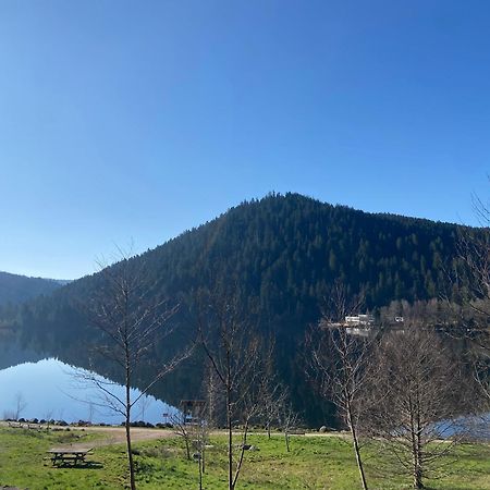 Chalet Authentique Au Calme, En Lisiere De Foret, Montagne, Sentiers 15Mn Gerardmer & Alsace "Chalet Mon Beau Sapin" Anould Exteriör bild