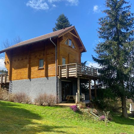 Chalet Authentique Au Calme, En Lisiere De Foret, Montagne, Sentiers 15Mn Gerardmer & Alsace "Chalet Mon Beau Sapin" Anould Exteriör bild
