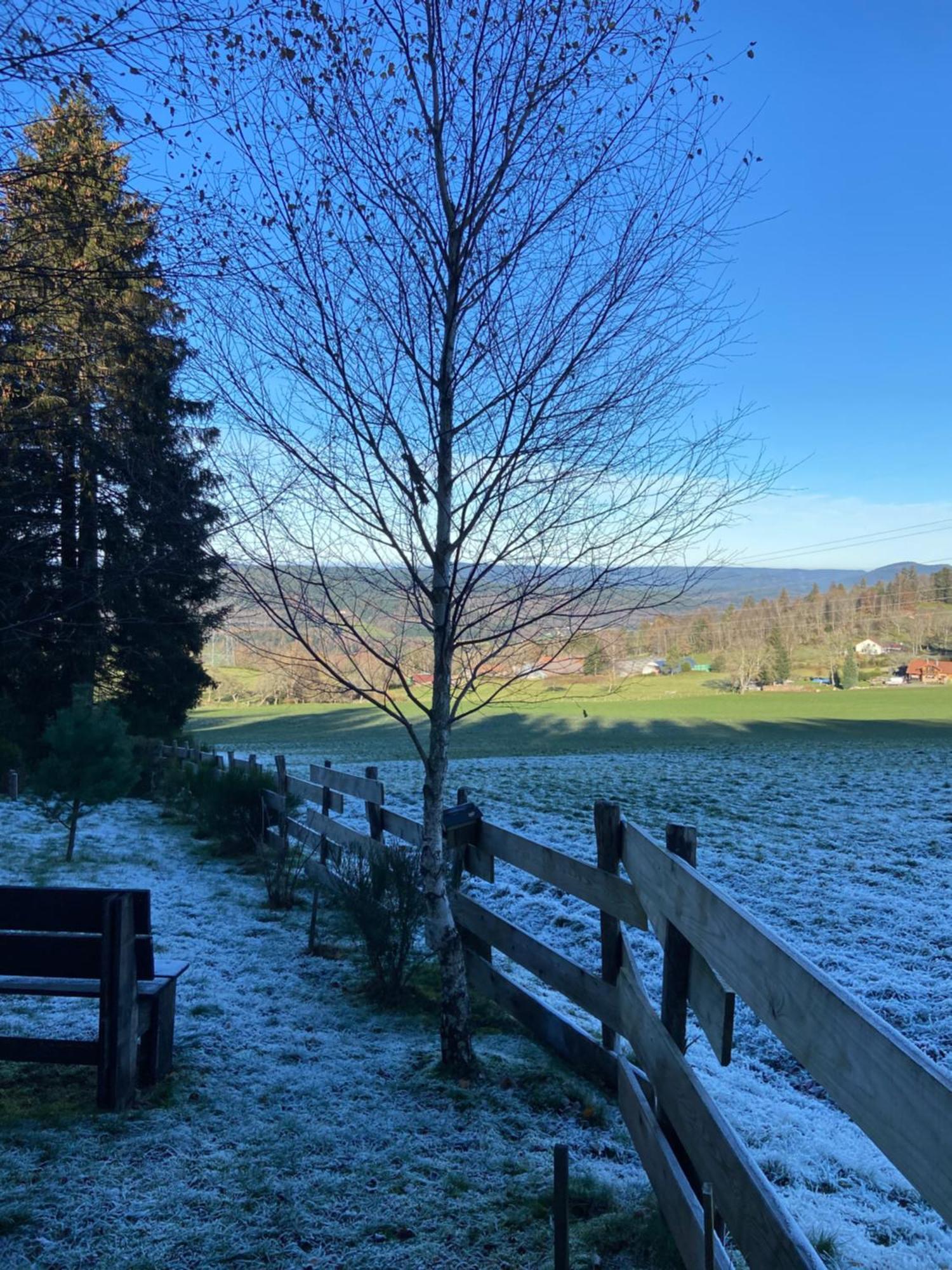 Chalet Chaleureux Avec Cheminee Et Vue Montagne Proche Gerardmer "Mon Beau Sapin" Villa Anould Exteriör bild