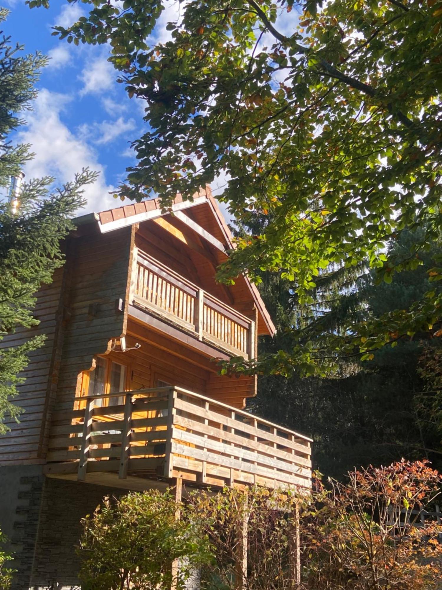 Chalet Chaleureux Avec Cheminee Et Vue Montagne Proche Gerardmer "Mon Beau Sapin" Villa Anould Exteriör bild