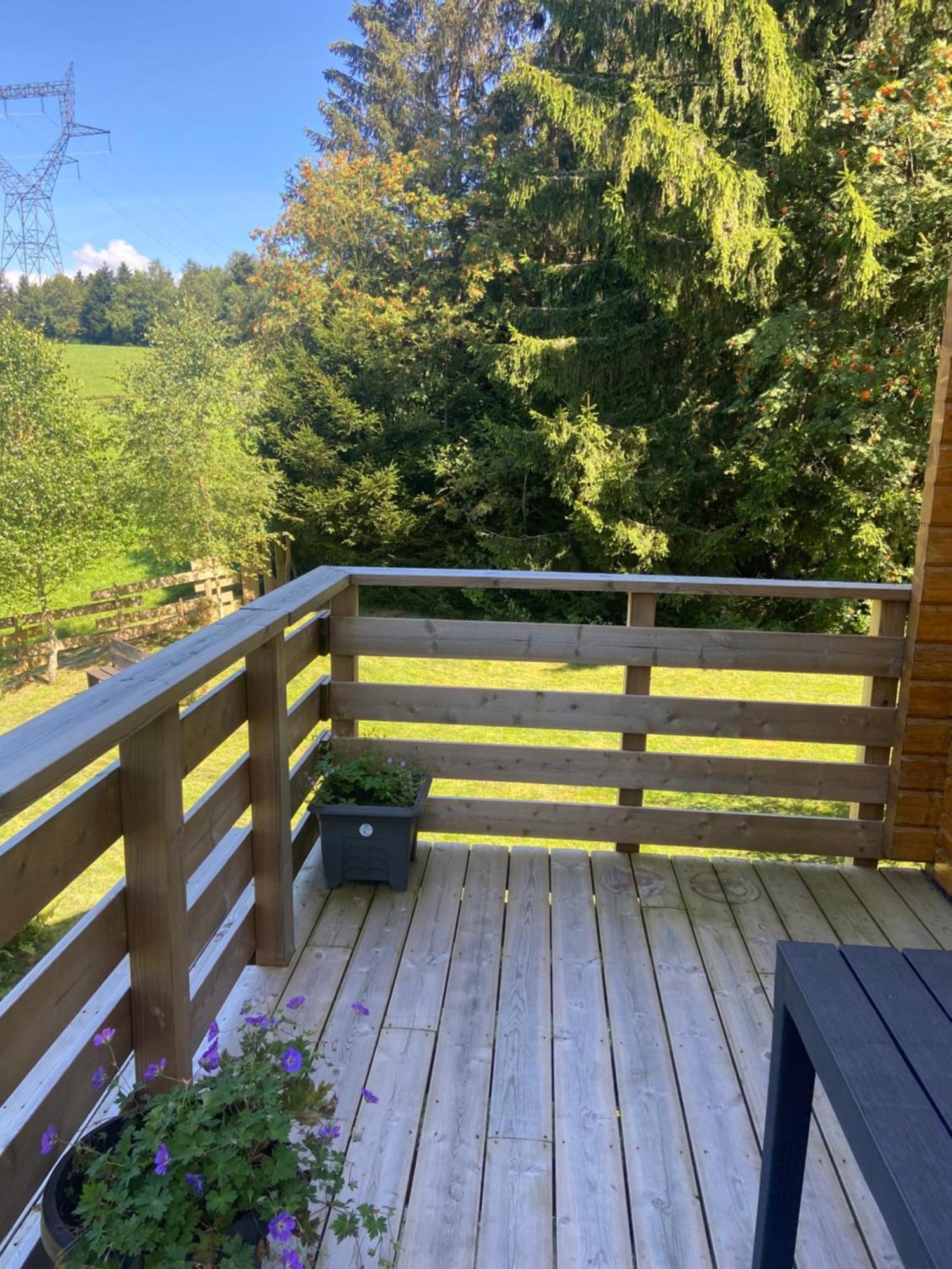 Chalet Authentique Au Calme, En Lisiere De Foret, Montagne, Sentiers 15Mn Gerardmer & Alsace "Chalet Mon Beau Sapin" Anould Exteriör bild