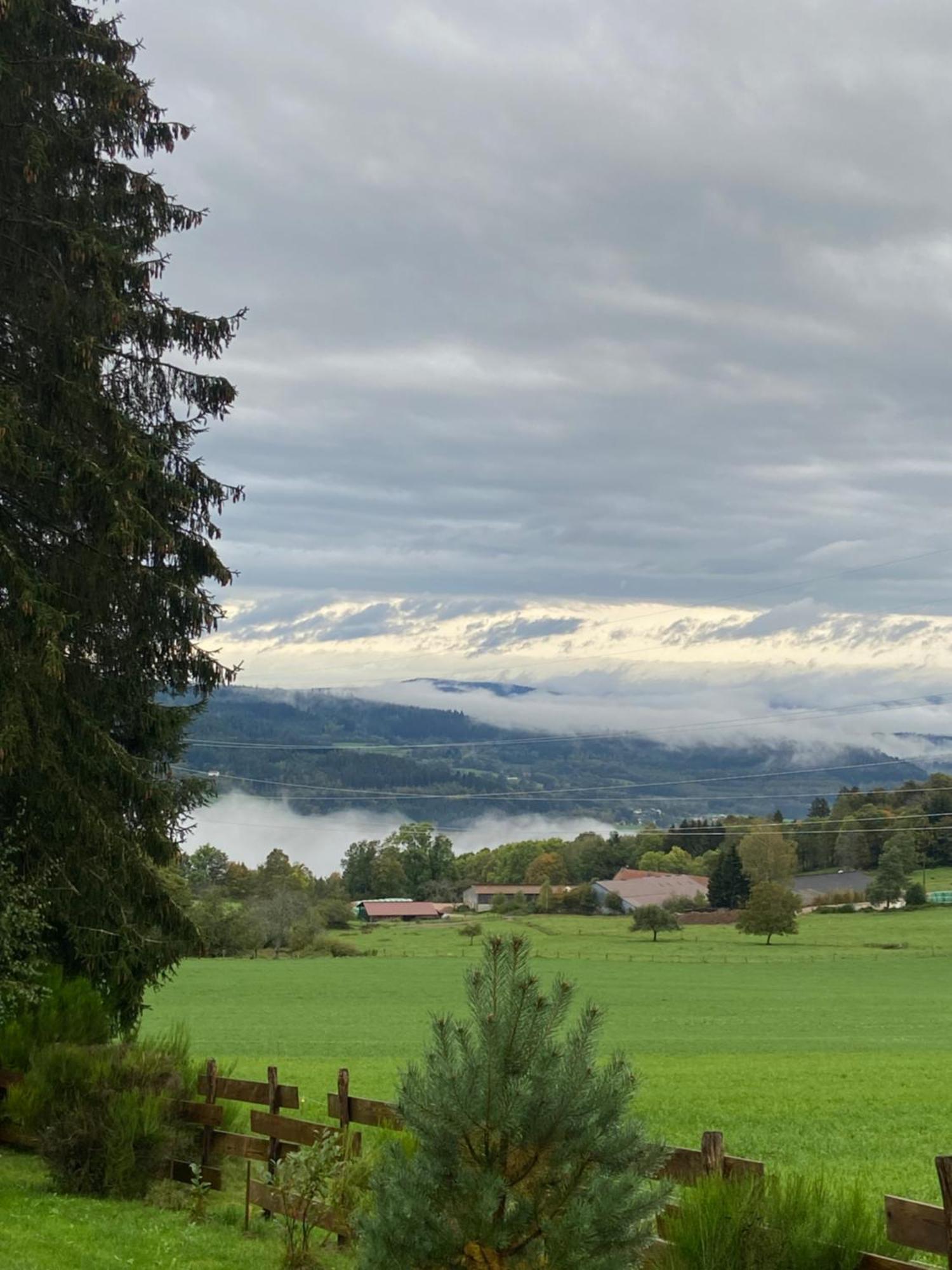 Chalet Chaleureux Avec Cheminee Et Vue Montagne Proche Gerardmer "Mon Beau Sapin" Villa Anould Exteriör bild