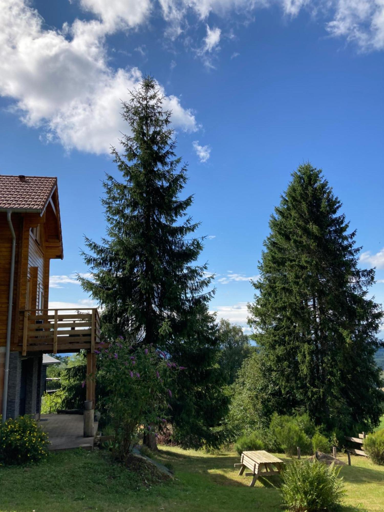 Chalet Chaleureux Avec Cheminee Et Vue Montagne Proche Gerardmer "Mon Beau Sapin" Villa Anould Exteriör bild