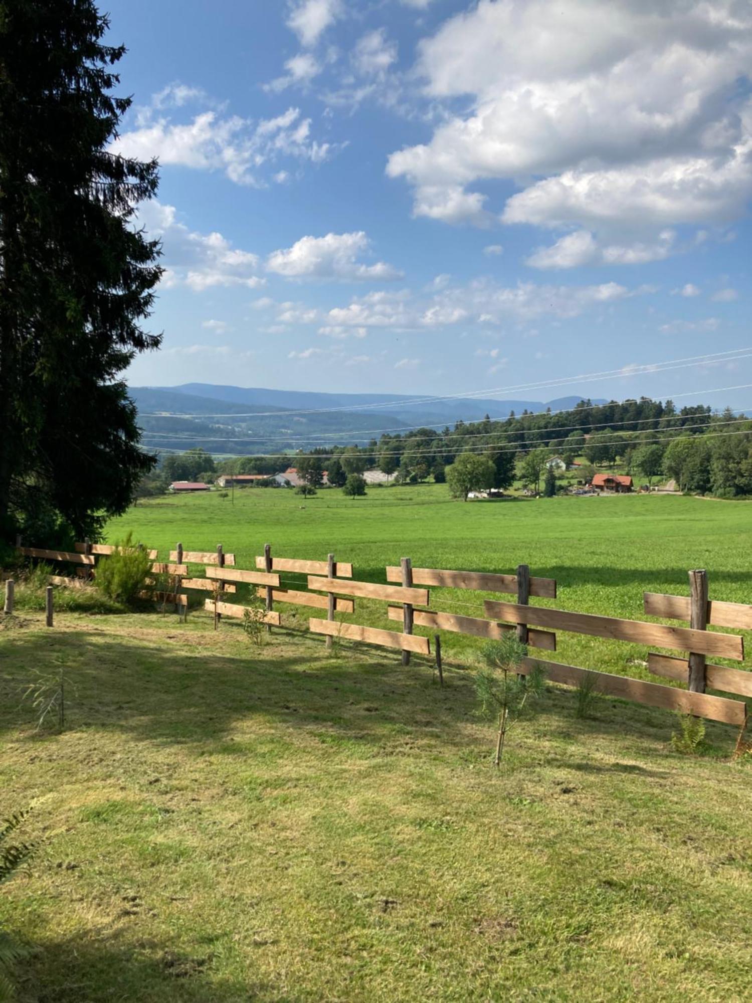 Chalet Chaleureux Avec Cheminee Et Vue Montagne Proche Gerardmer "Mon Beau Sapin" Villa Anould Exteriör bild