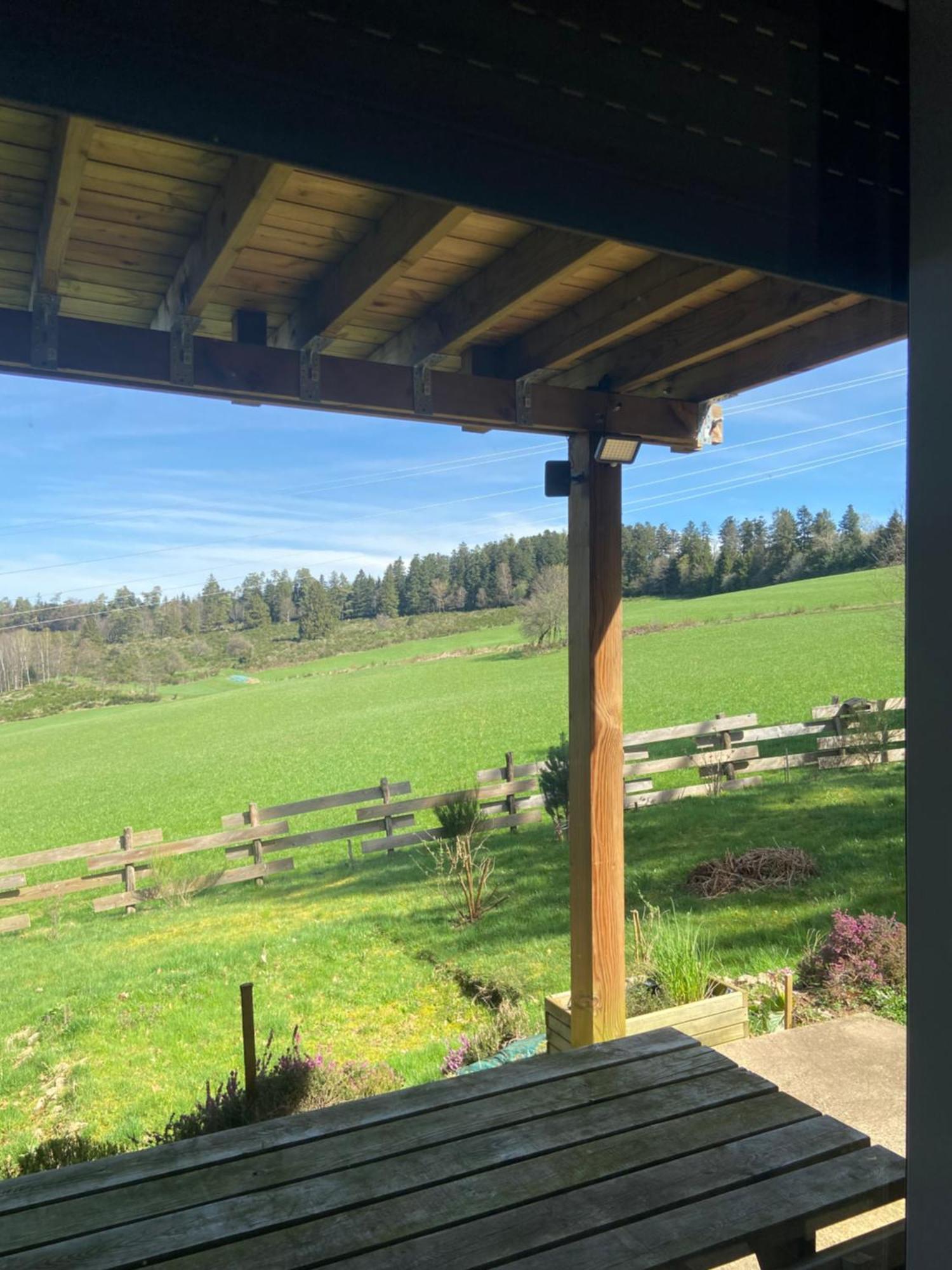 Chalet Chaleureux Avec Cheminee Et Vue Montagne Proche Gerardmer "Mon Beau Sapin" Villa Anould Exteriör bild