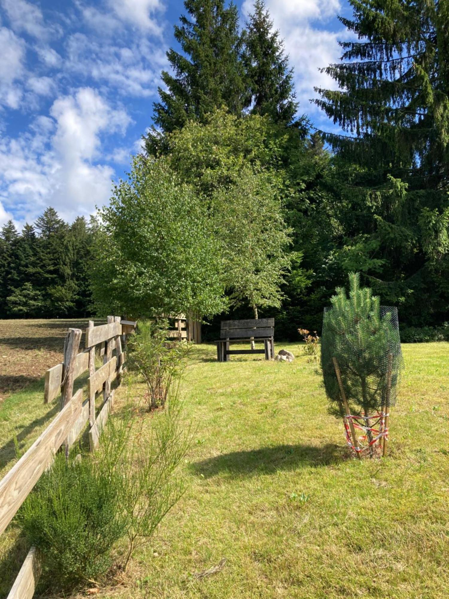Chalet Authentique Au Calme, En Lisiere De Foret, Montagne, Sentiers 15Mn Gerardmer & Alsace "Chalet Mon Beau Sapin" Anould Exteriör bild