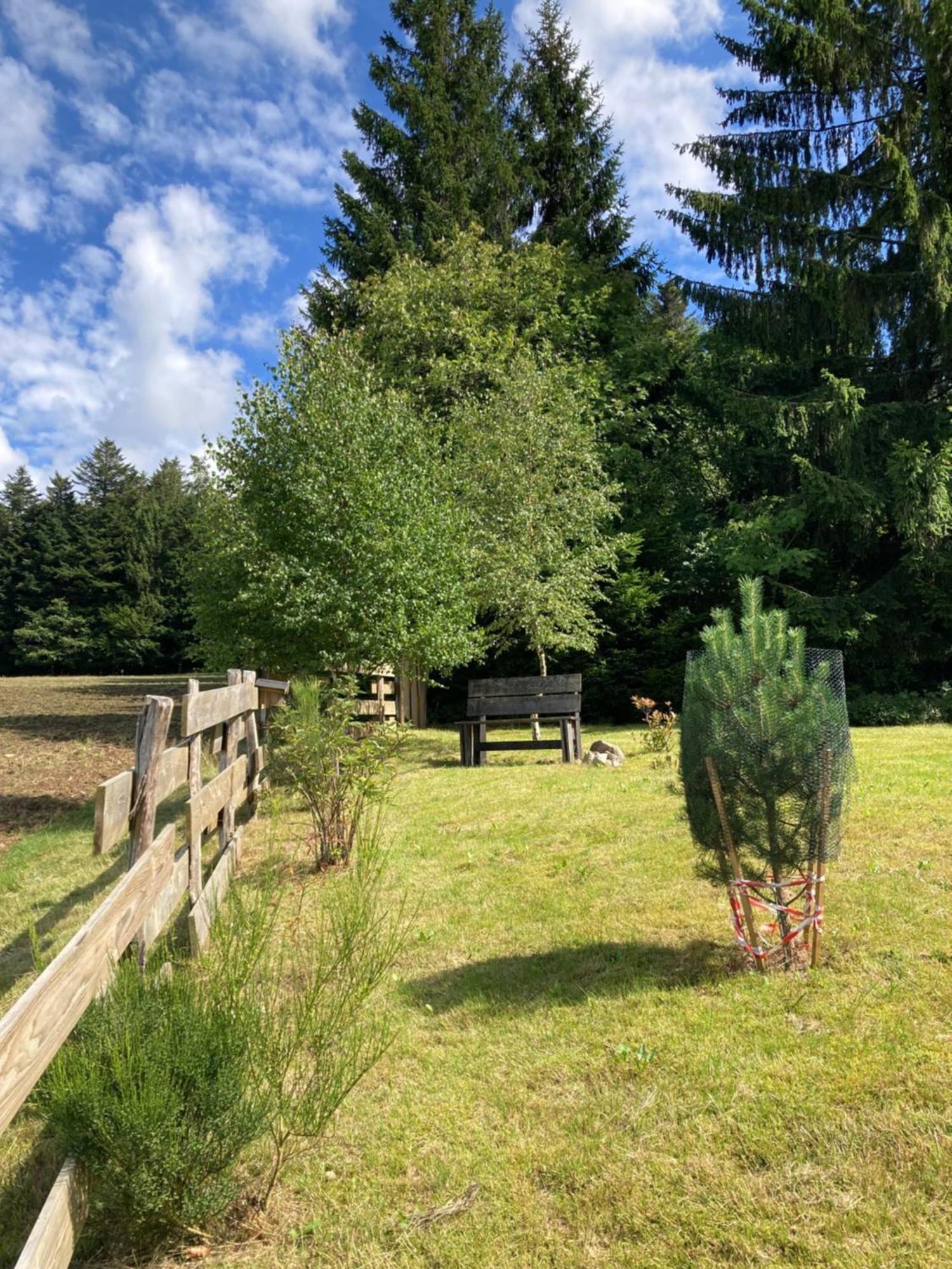 Chalet Chaleureux Avec Cheminee Et Vue Montagne Proche Gerardmer "Mon Beau Sapin" Villa Anould Exteriör bild