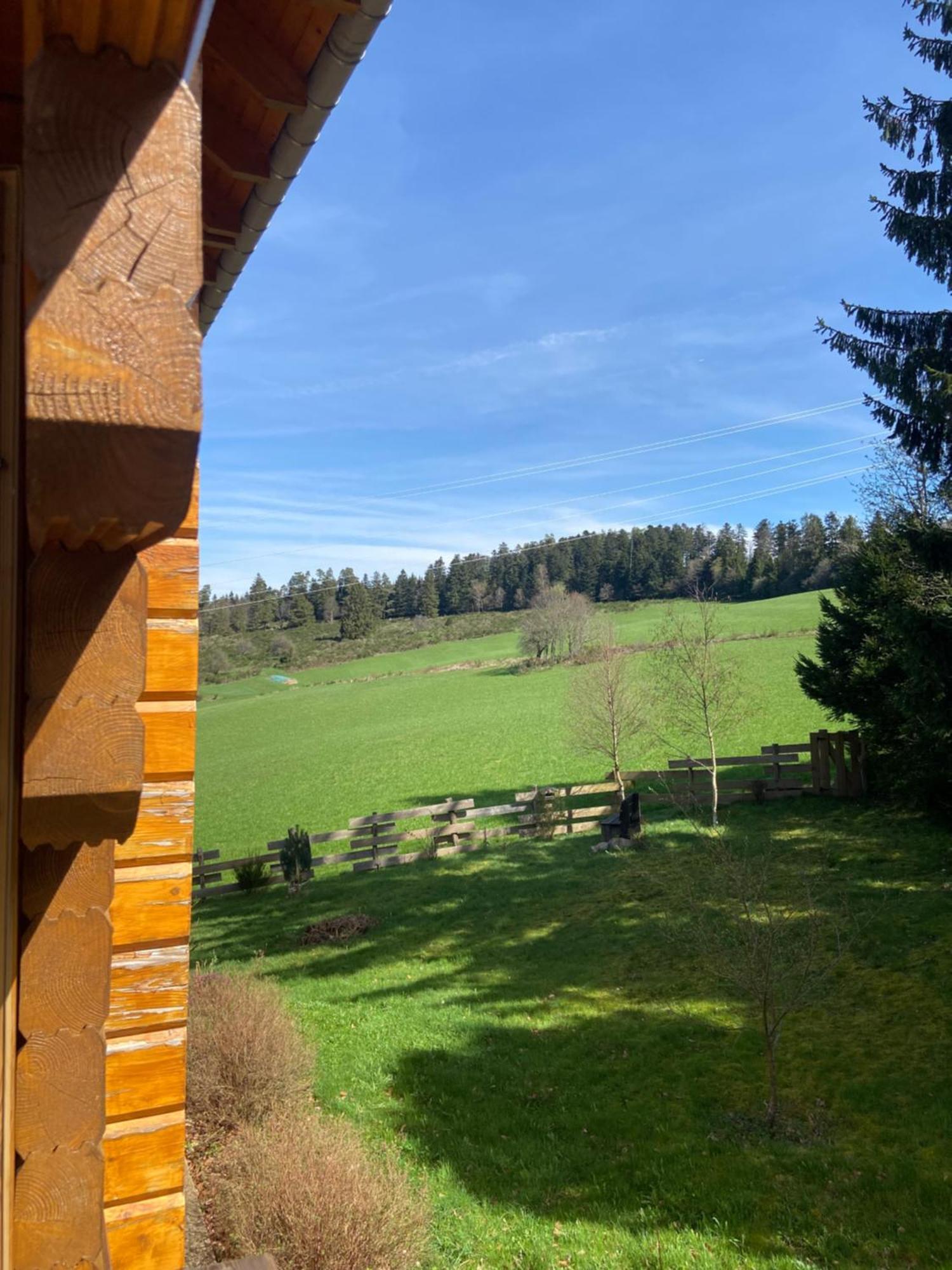 Chalet Chaleureux Avec Cheminee Et Vue Montagne Proche Gerardmer "Mon Beau Sapin" Villa Anould Exteriör bild