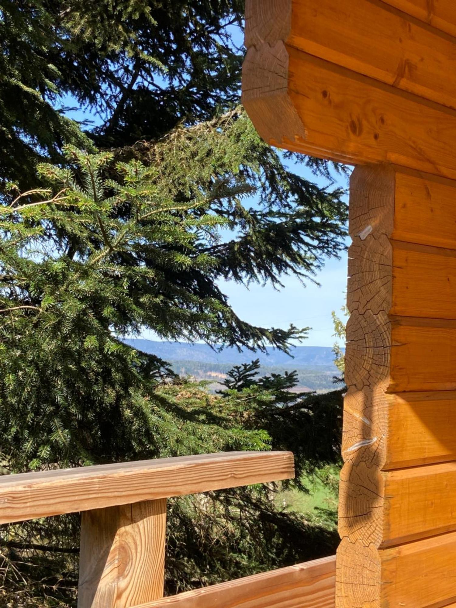 Chalet Chaleureux Avec Cheminee Et Vue Montagne Proche Gerardmer "Mon Beau Sapin" Villa Anould Exteriör bild