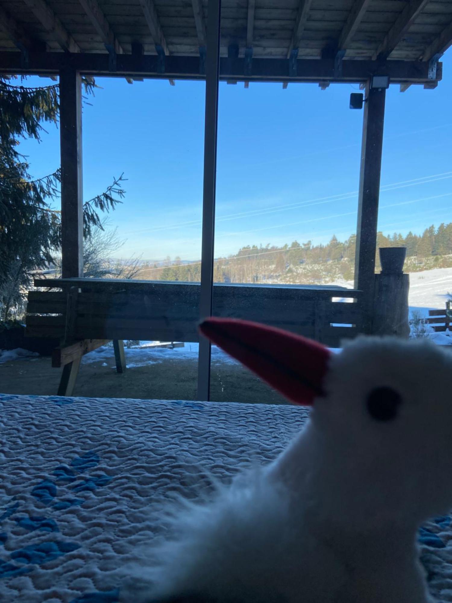 Chalet Authentique Au Calme, En Lisiere De Foret, Montagne, Sentiers 15Mn Gerardmer & Alsace "Chalet Mon Beau Sapin" Anould Exteriör bild