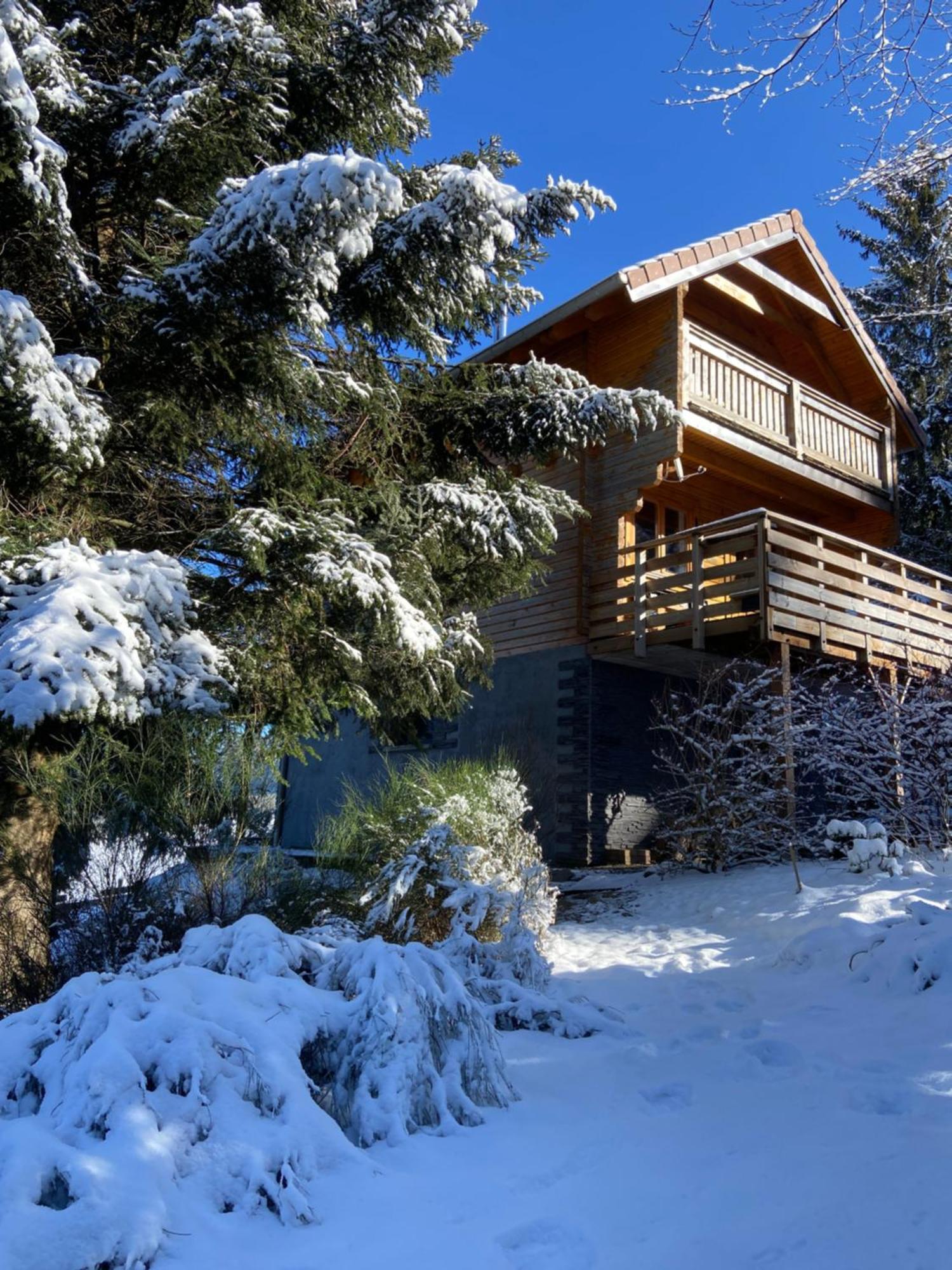 Chalet Authentique Au Calme, En Lisiere De Foret, Montagne, Sentiers 15Mn Gerardmer & Alsace "Chalet Mon Beau Sapin" Anould Exteriör bild