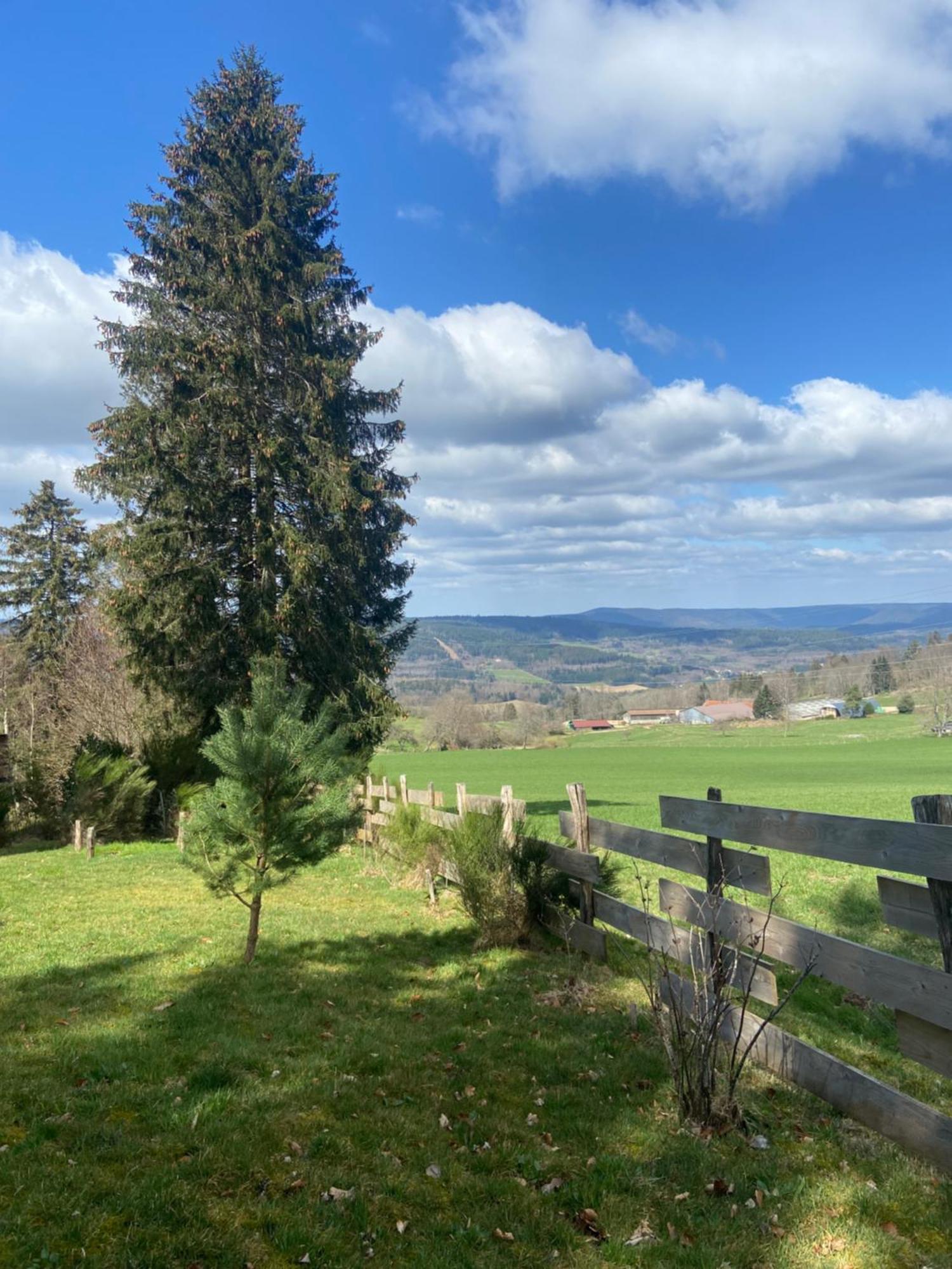 Chalet Authentique Au Calme, En Lisiere De Foret, Montagne, Sentiers 15Mn Gerardmer & Alsace "Chalet Mon Beau Sapin" Anould Exteriör bild
