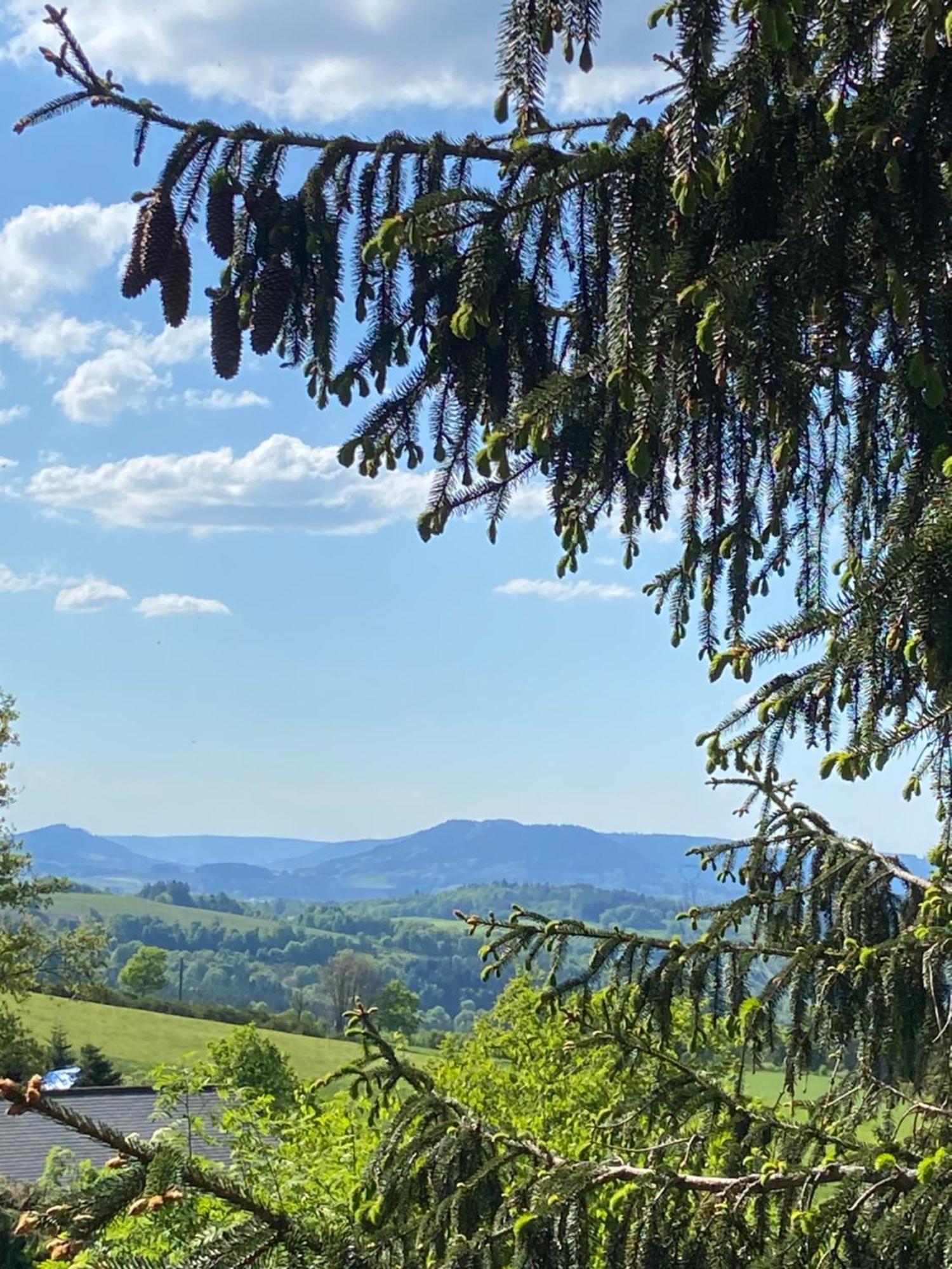 Chalet Authentique Au Calme, En Lisiere De Foret, Montagne, Sentiers 15Mn Gerardmer & Alsace "Chalet Mon Beau Sapin" Anould Exteriör bild