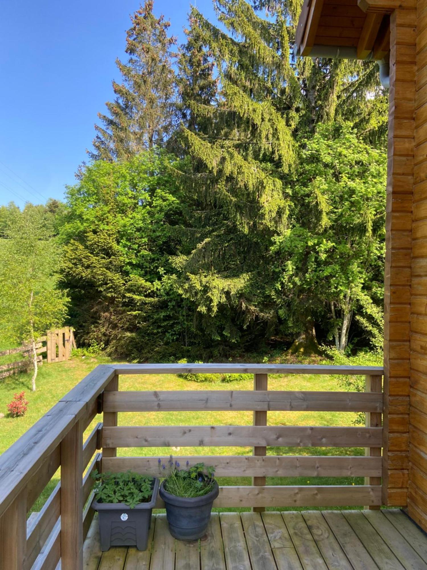 Chalet Authentique Au Calme, En Lisiere De Foret, Montagne, Sentiers 15Mn Gerardmer & Alsace "Chalet Mon Beau Sapin" Anould Exteriör bild